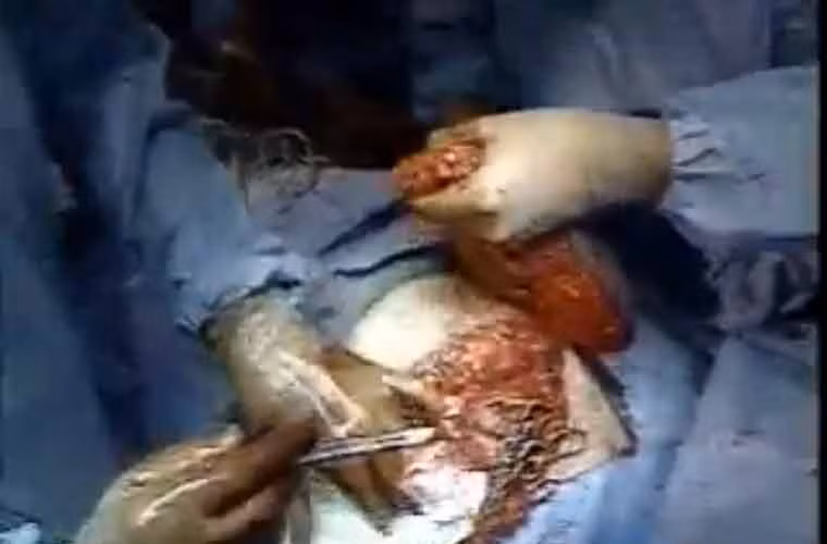 Nó có kích cỡ khá lớn.