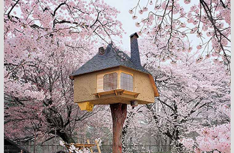 Căn nhà Teahouse Tetsu ở Yamanashi, Nhật Bản.