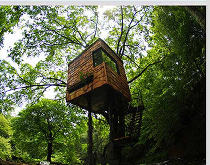 Nhà cây ở Nhật Bản.