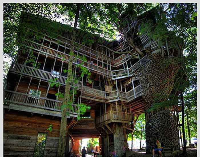 Ngôi nhà đồ sộ cheo leo trên cây ở Mỹ.