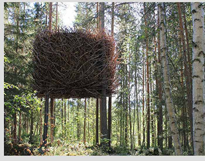 Nhà "tổ chim" ở Thụy Điển.