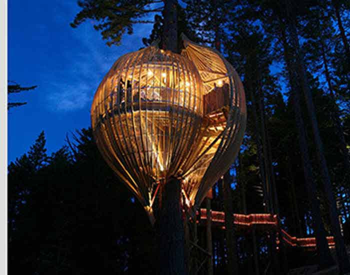 Nhà hàng trên cây có tên Yellow ở New Zealand.