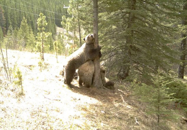 ...từ ôm cột...