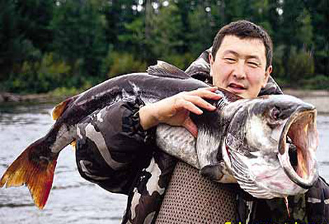 “Thủy quái” bắt được trên hồ Kanas ở Tân Cương, cao nguyên miền Tây Trung Quốc.