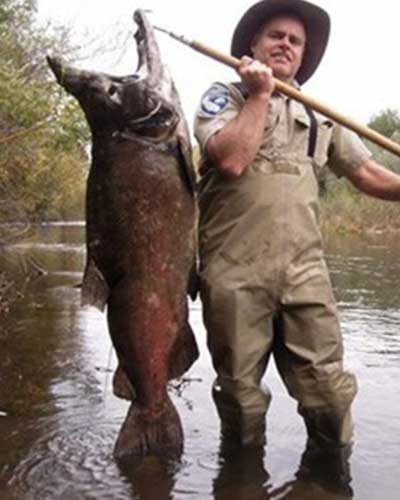 Con cá hồi lớn nhất thế giới dài 1,3m và nặng 40kg.