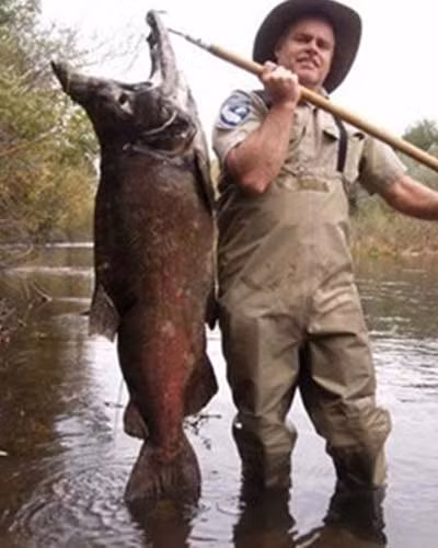 Con cá hồi lớn nhất thế giới dài 1,3m và nặng 40kg.