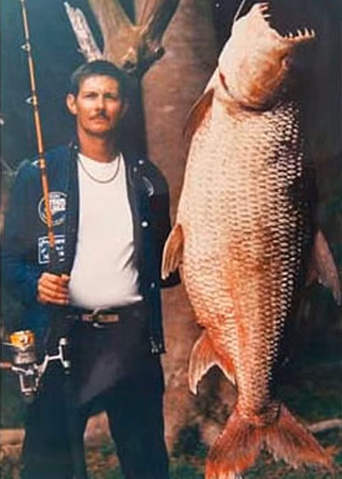 Cá hổ khổng lồ (tên khoa học là Hydrocynus Goliath), được bắt ở con sông miền Trung châu Phi. Nó có bộ răng rất sắc nhọn, có thể cắn nát bất cứ thứ gì, là một loài cá nguy hiểm.