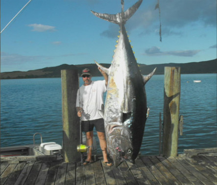 Nathans Adams, 42 tuổi, đã câu được một chú cá khổng lồ nặng hơn 355 kg gần Houhora, ngoài khơi bờ biển phía Đông của Bắc Ireland.