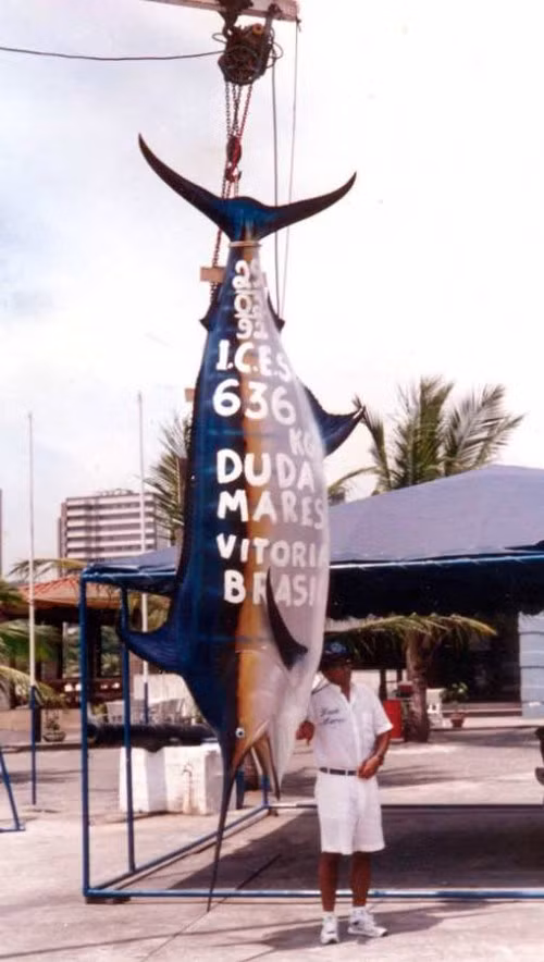 Cá cờ xanh Đại Tây Dương (Atlantic Blue Marlin) nặng 636 kg. Ngày 29/02/1992, sau 80 phút chiến đấu, Paulo Amorim đã đưa lên bờ con cá khổng lồ từ ngoài khơi Victoria, Brazil.
