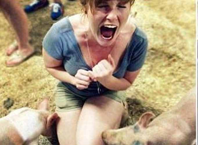 Nét mặt sợ hãi của quý cô bị lợn "sàm sỡ".