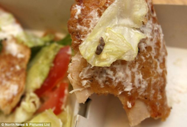 Món bánh burger bị phát hiện sinh vật lạ. Con ốc sên trên món bánh được cho là do cửa hàng chưa rửa sạch lá rau diếp.