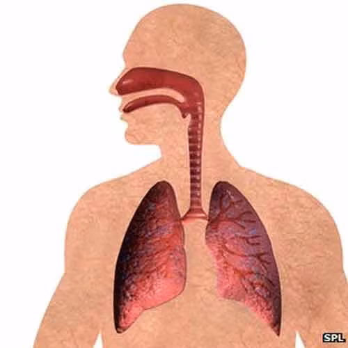 Anh và Ireland là hai quốc gia có số lượng người tử vong do bệnh phổi cao nhất.