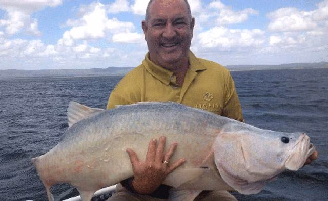 Một con cá chẽm bạch tạng dài 1,16 m bị dính câu và được thả ra ở đập nước Proserpine tại Queensland, Australia bởi ông Rod Sherrif khi ông thuê tàu câu trên hồ.