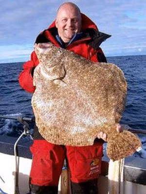 Cần thủ Robert McMillan bắt được con cá bơn nặng 13,6 kg ở phía Bắc Muckle Flugga, Scotland.