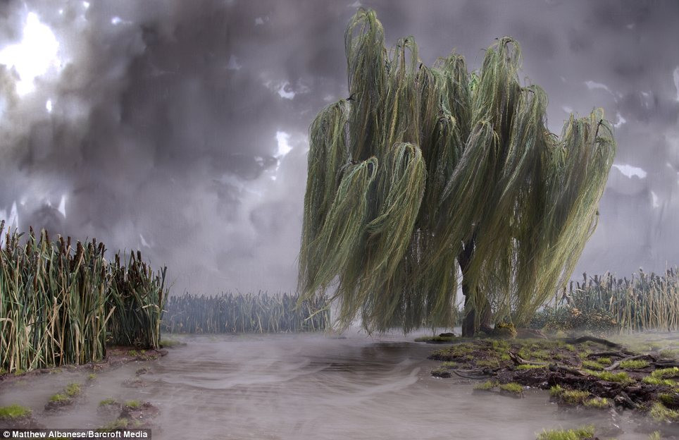 Sau khi đã chụp được những bức ảnh ưng ý, anh Matthew thường rao bán một số mẫu vật trên mạng với giá 1.000 USD.