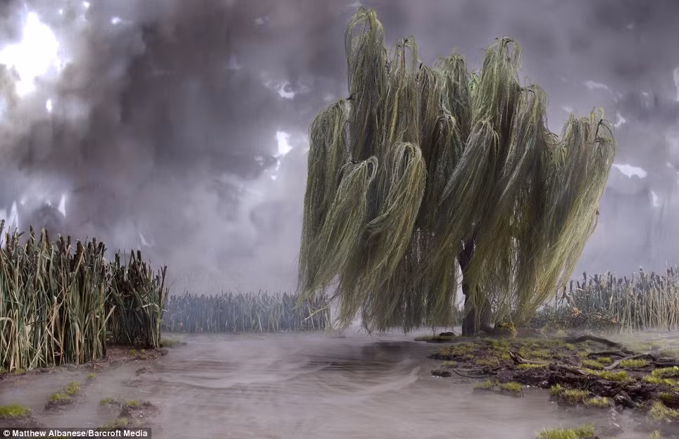 Sau khi đã chụp được những bức ảnh ưng ý, anh Matthew thường rao bán một số mẫu vật trên mạng với giá 1.000 USD.