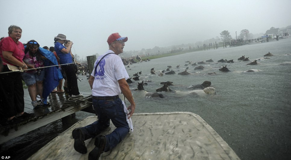 Hàng ngàn khán giả đổ xô tới xem như những con ngựa băng qua dòng kênh.