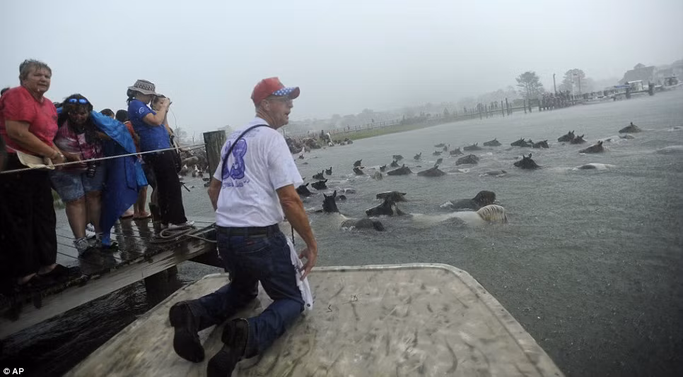 Hàng ngàn khán giả đổ xô tới xem như những con ngựa băng qua dòng kênh.