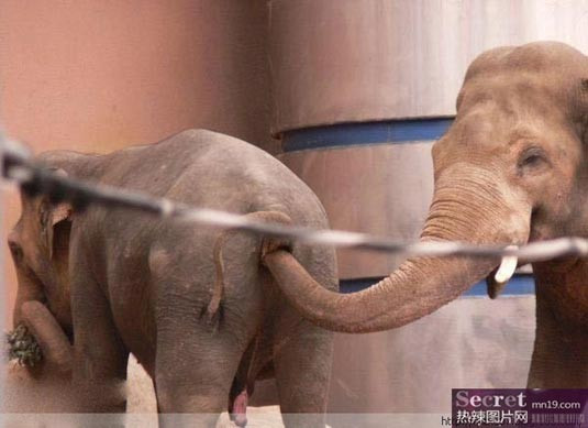 ...trêu ghẹo nhau