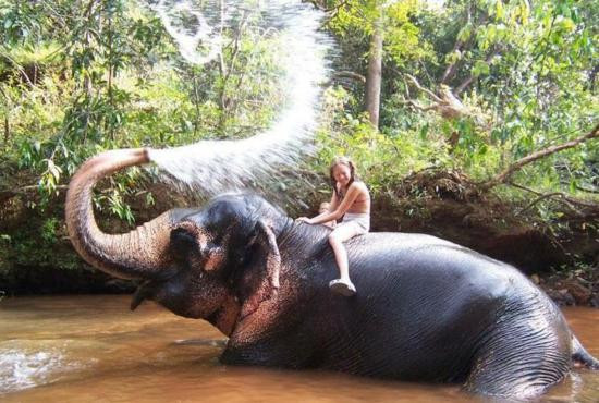 Trêu đùa một cô bé...