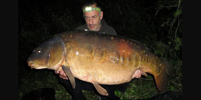Tay săn cá Brian Humphries (48 tuổi) đã câu được hai chú cá nước ngọt khổng lồ chỉ trong một ngày. Một con nặng 27 kg (ảnh), con còn lại được 18 kg.