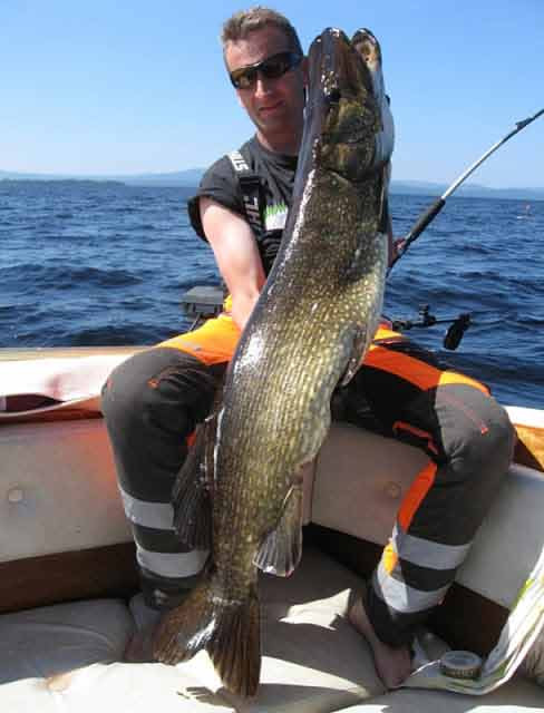 Chú cá dài tới 125 cm được câu ở Välkonditionerad, Thụy Điển.