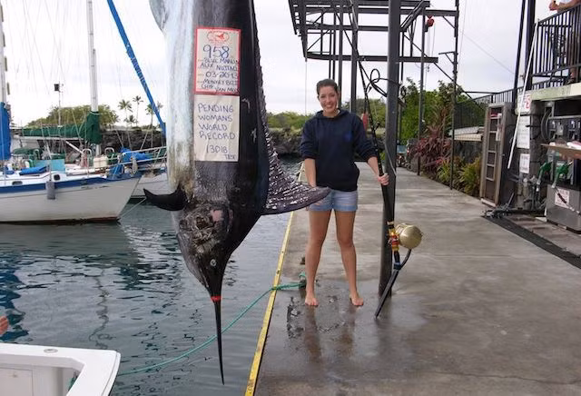 Con cá cờ xanh Thái Bình Dương câu được ngoài khơi Kailua-Kona, Hawaii, Mỹ bởi cô Alexandra Nuttall có thể mang lại cho tay câu cá người Australia một kỷ lục thế giới.