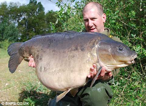 Loài cá nước ngọt lớn nhất ở Anh được cần thủ chinh phục.