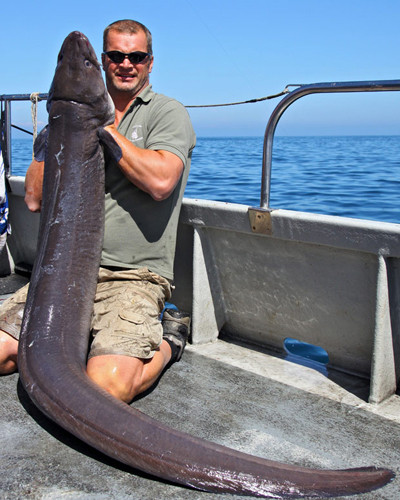 Andy Parker - một người dân Anh đã bắt được con cá chình khổng lồ nặng tới 45 kg tại khu biển cách Torquay ở Devon (Anh) khoảng 56,3 km.