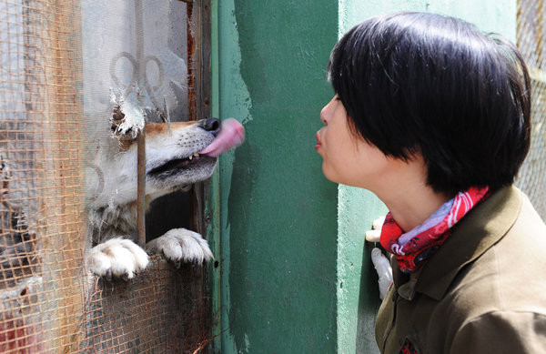 Năm 2008, ông Yang nộp đơn xin cấp giấy phép nuôi chó sói và bây giờ ông có một diện tích hơn 20 ha với 80 con chó sói. Đây là khu vực nuôi chó sói lớn nhất Trung Quốc và được gọi là “Thung lũng sói hoang”.