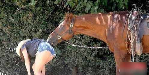 Ngựa "sàm sỡ" một cô gái.