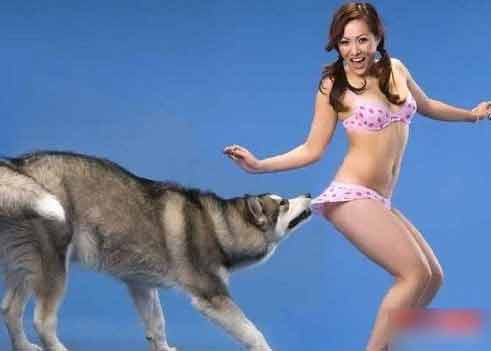 Có vẻ cô gái này đang thích thú với hành động của chú chó.