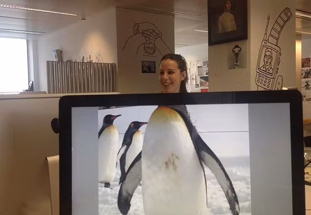 "Cô chim cánh cụt".