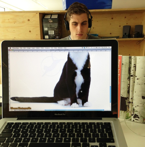 "Mèo mặt người" đang nghe nhạc.