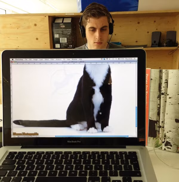 "Mèo mặt người" đang nghe nhạc.