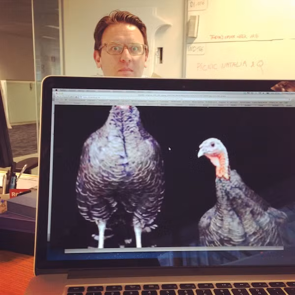 Chú gà oai vệ với "khuôn mặt" trí thức.