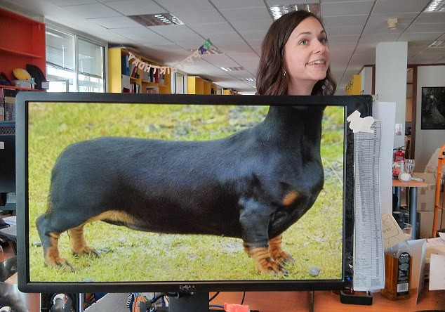 Một "quý cô thân chó".