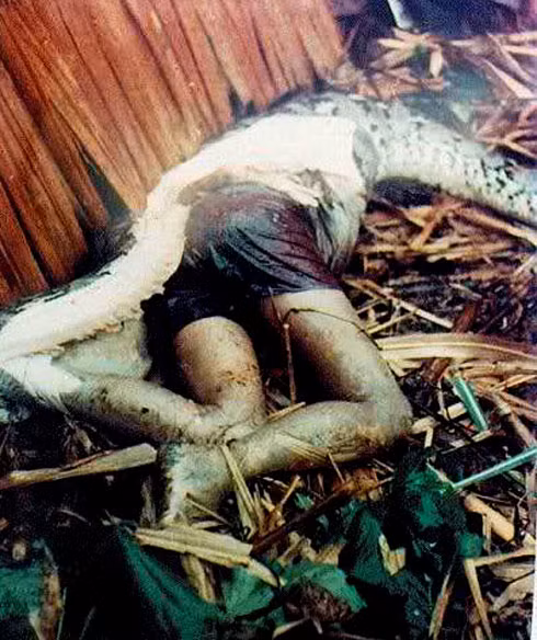 Thậm chí, "quái trăn" cũng không tha cả người.