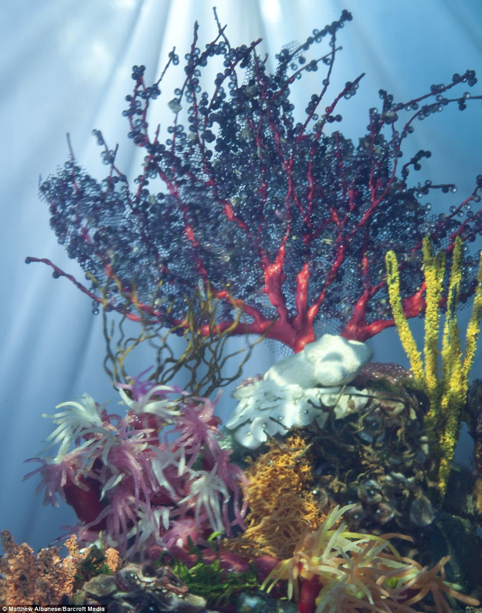 Đại dương sâu thẳm: Cảnh dưới biển được tạo thành từ quả óc chó, sáp nến, dây, kim tuyến, vỏ đậu, thạch cao, dây điện, sao biển nhuộm màu, kem đánh răng, đất sét, kẹo dẻo, rêu, bọt biển, vỏ sò phủ sáp, đất sét...