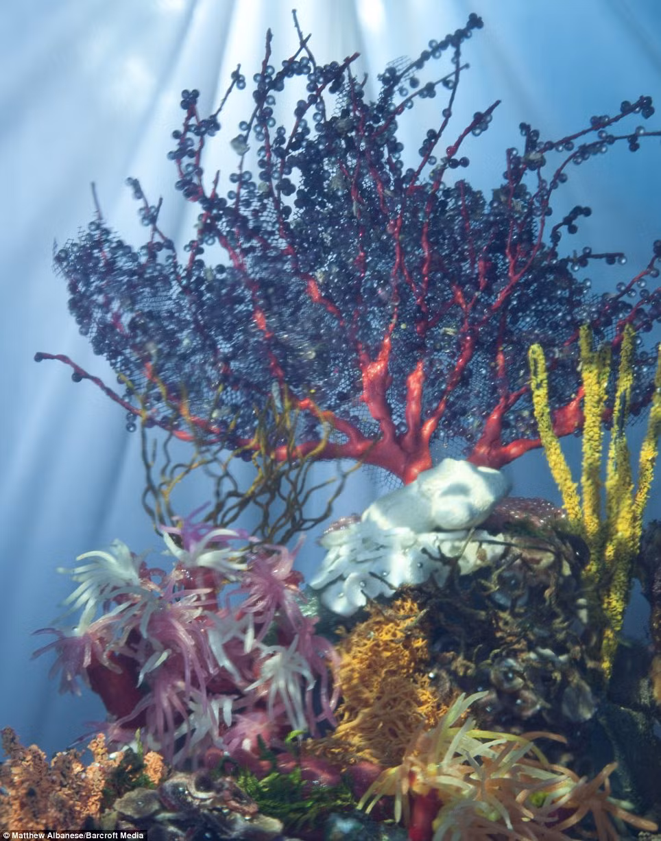 Đại dương sâu thẳm: Cảnh dưới biển được tạo thành từ quả óc chó, sáp nến, dây, kim tuyến, vỏ đậu, thạch cao, dây điện, sao biển nhuộm màu, kem đánh răng, đất sét, kẹo dẻo, rêu, bọt biển, vỏ sò phủ sáp, đất sét...