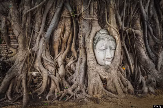 Cách đây nhiều thế kỷ, quân xâm lược Miến Điện đã tới đây, chặt đầu tượng Phật và vứt lăn lóc khắp nơi. Một trong số những đầu tượng Phật này nằm gần cây cổ thụ và đã được các rễ cây ôm lấy, tạo nên một trong những kiệt tác tạo hóa thần kỳ, thiêng liêng nhất thế giới.