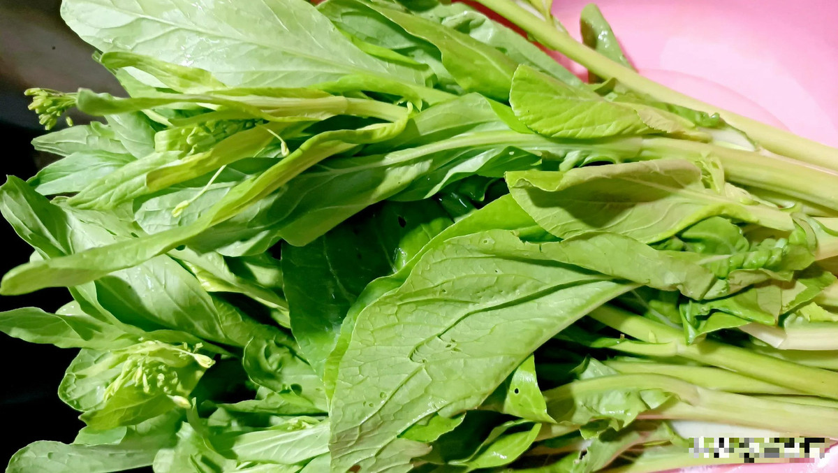 Loai rau bo duong, dac biet thich hop an vao mua se lanh-Hinh-2