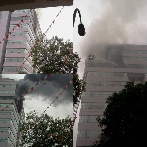 gay sau khi nhận tin báo cháy, lực lượng PCCC điều 8 xe cứu hỏa (trong đó có 1 xe thang) nhanh chóng tới hiện trường.