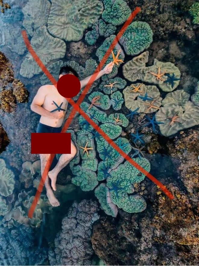 Nguoi dan ong nam len ran san ho, vot sao bien chup anh 