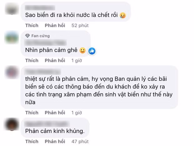 Nguoi dan ong nam len ran san ho, vot sao bien chup anh 