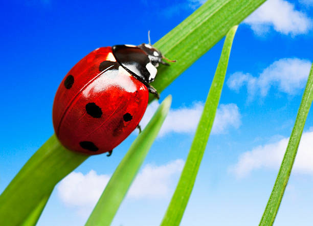 Ai sinh tháng Âm lịch này năng lực có thừa, tương lai hưởng phúc - Hình 3 Ai sinh thang Am lich nay nang luc co thua, tuong lai huong phuc-Hinh-3