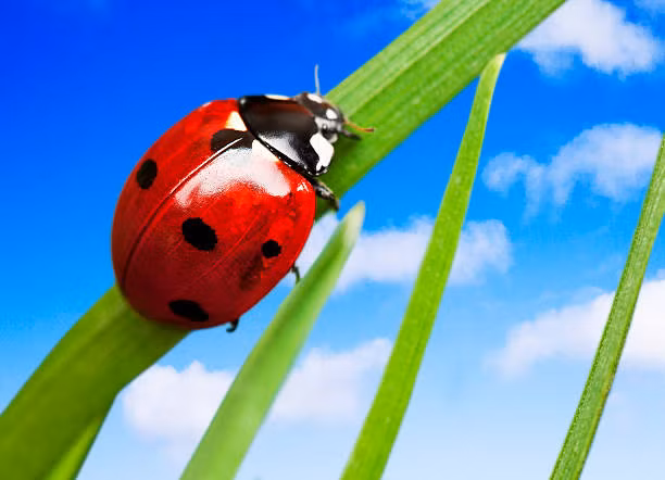 Ai sinh thang Am lich nay nang luc co thua, tuong lai huong phuc-Hinh-3