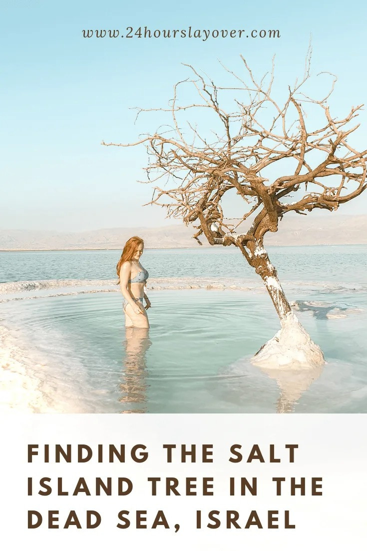 Ở giữa Biển Chết có một hòn đảo kỳ diệu trắng tinh như tuyết - Hình 5 O giua Bien Chet co mot hon dao ky dieu trang tinh nhu tuyet-Hinh-5