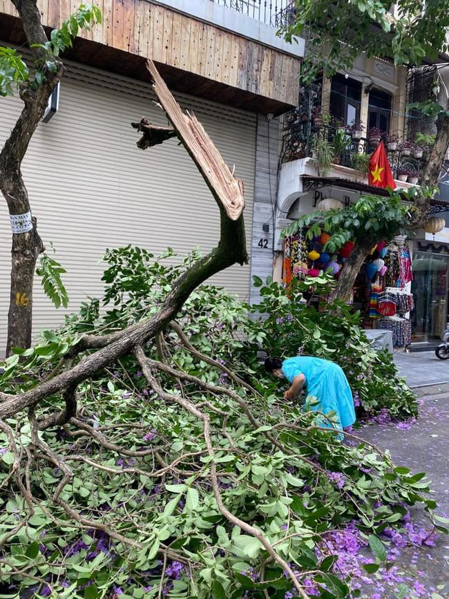 Bang lang tim gay giua pho co, dan tinh o at den check-in-Hinh-6