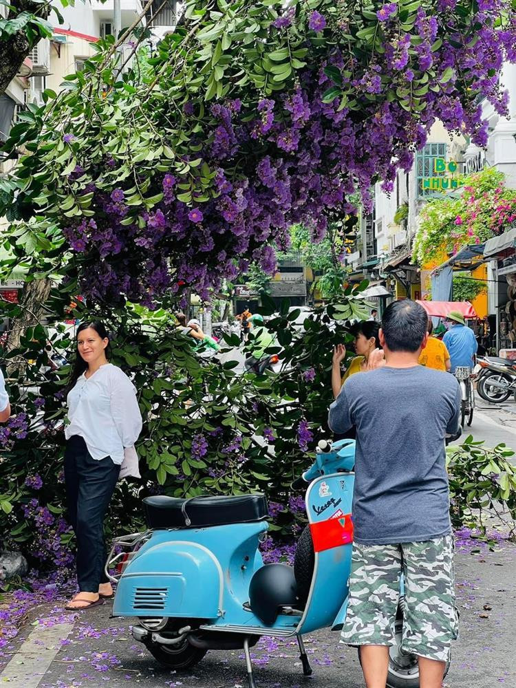 Bang lang tim gay giua pho co, dan tinh o at den check-in-Hinh-5